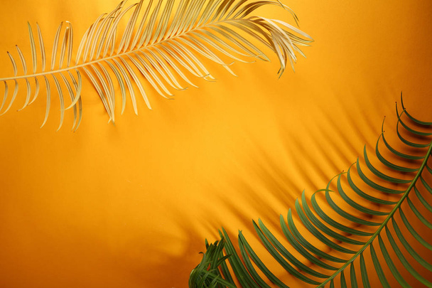 Background with palm leaves - Foto, Imagem