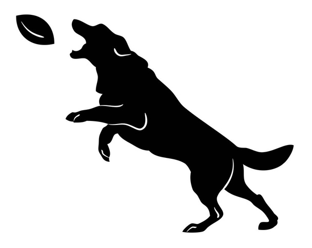 Sziluettjét egy kutya ugrott egy rögbi labdát - Vektor, kép