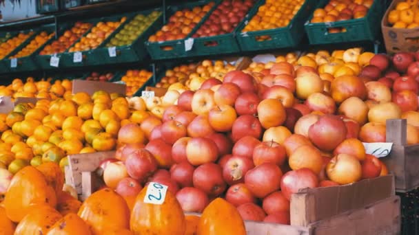 Showcase with Tangerines, Apples, Pears, Persimmon and Different Fruit on the Street Market - Video, Çekim