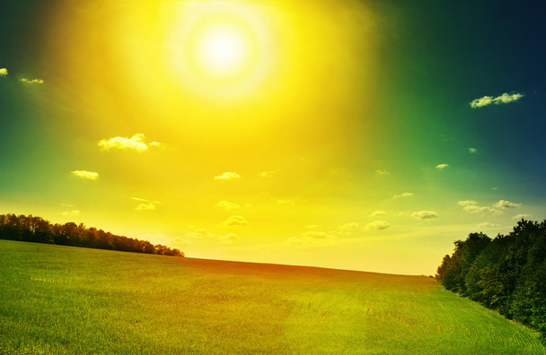 tájkép sárga nap - Fotó, kép