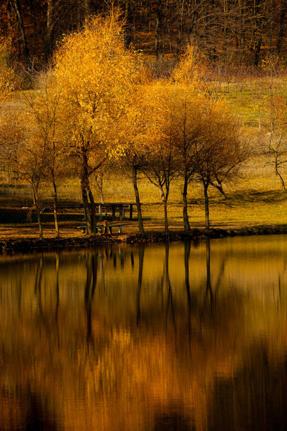 Paisaje otoñal hermosos árboles de colores sobre el río, brillando a la luz del sol. maravilloso fondo pintoresco. color en la naturaleza. Árboles de otoño brillantes con su reflejo en el agua
 - Foto, Imagen