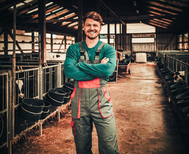 酪農家で牛舎で若い農夫 - 写真・画像