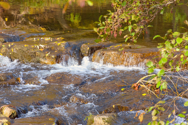 Pintoresca cascada en un arroyo que fluye rápidamente en cascada sobre una cornisa rocosa en otoño en la luz brillante de la noche
 - Foto, imagen