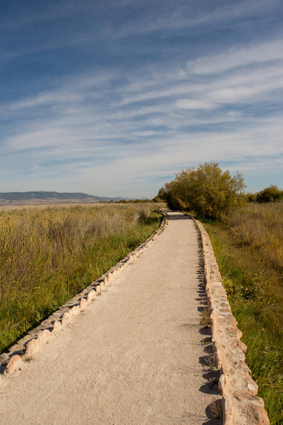 I walk by the boards of Daimiel in Castilla la mancha, Spain - Photo, Image