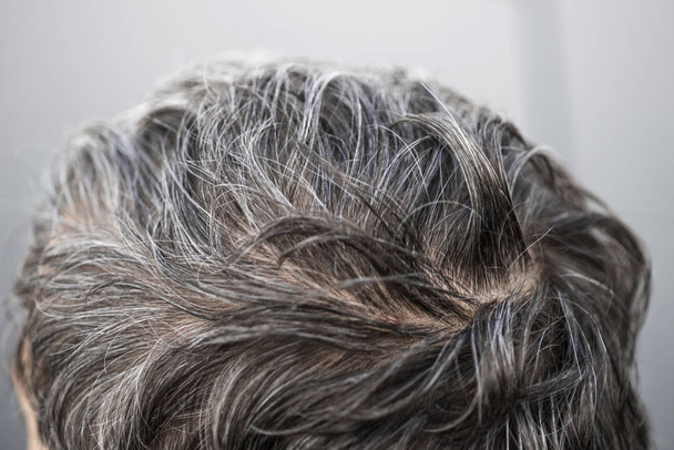 La testa di un uomo con un'acconciatura dai capelli grigi. Capelli grigi Adulti
 - Foto, immagini