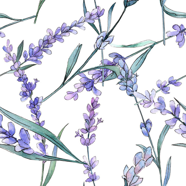 Purple lavender. Floral botanical flower. Watercolor background illustration set. Seamless background pattern. - Фото, изображение