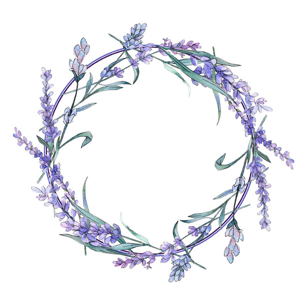 Purple lavender. Floral botanical flower. Wild spring leaf wildflower. Frame border ornament square. - Фото, изображение