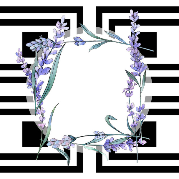 紫のラベンダー。花植物の花。野生春葉ワイルドフラワー。フレーム枠飾りスクエア. - 写真・画像
