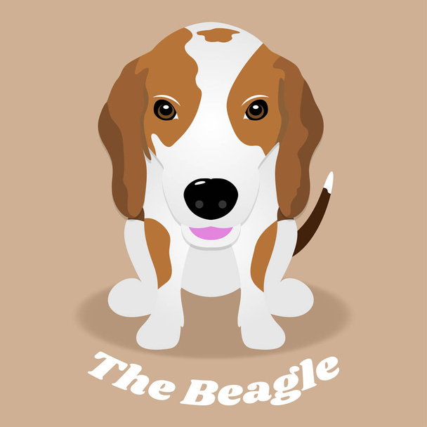 Porträt niedlich von Beagle Welpen Hund, Vektor Illustration. - Vektor, Bild