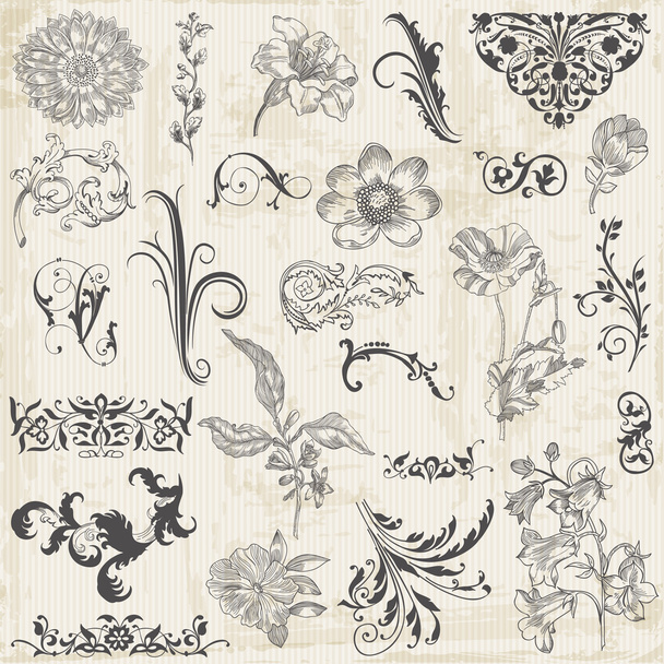 Vector Set: Calligraphic Flower Design Elements and Page Decorat - Wektor, obraz
