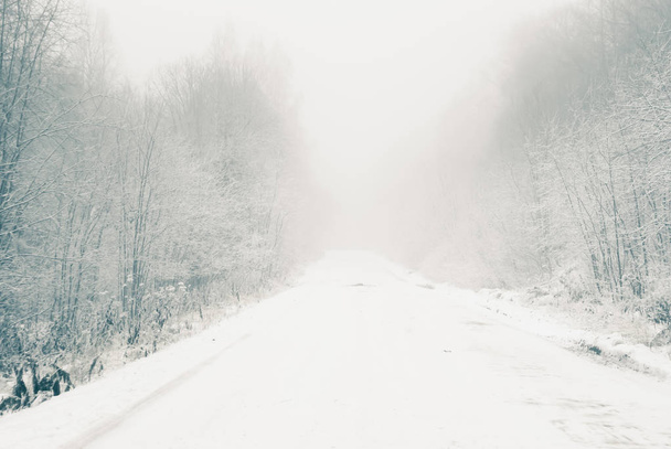 Landschaft - winterlich verschneite Straße durch den Wald im nebligen Dunst - Foto, Bild