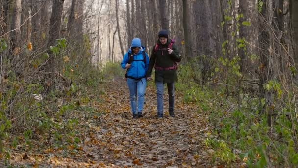 ハイキングやバック パッキングのコンセプト。秋の日に森を歩く旅行者の若いカップル - 映像、動画