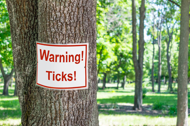 緑豊かな公園の背景の木の警告タイマー刻みを署名します。白と赤の警告看板緑の森林ダニに注意  - 写真・画像
