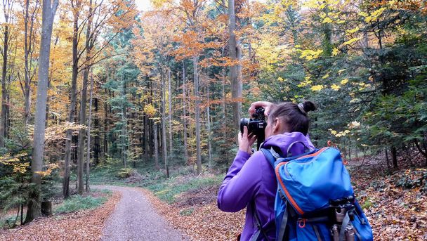 Otoño en el bosque. Camino del bosque, árboles coloridos. Una chica está fotografiando un hermoso bosque
. - Foto, Imagen
