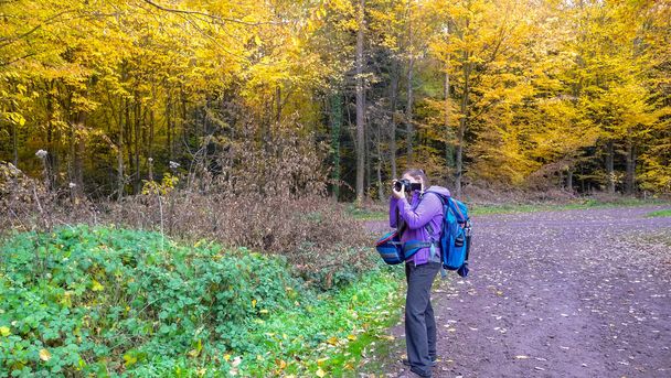 Autumn in the forest. Forest road, colorful trees. A girl is photographing a beautiful forest. - Photo, image