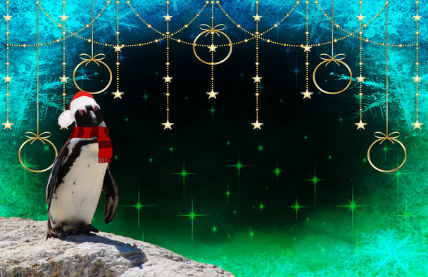 joyeux noël un drôle de pingouin portant une écharpe et santa claus bonnet isolé sur un fond décoré avec des étoiles et des flocons de neige gelés - Photo, image