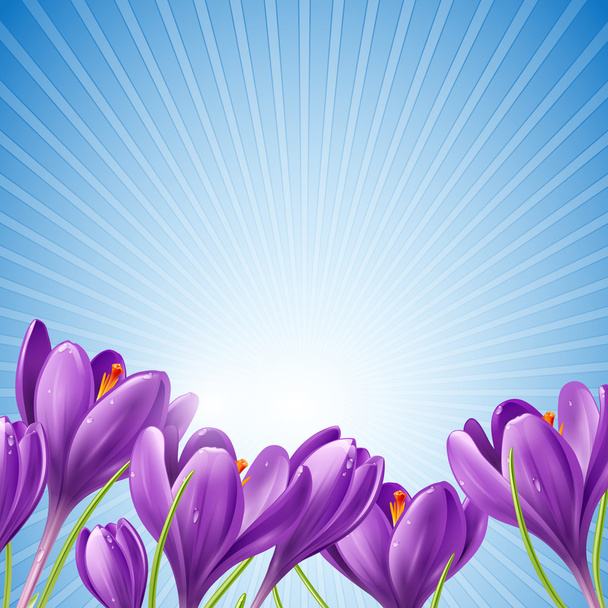 flores de primavera em um fundo azul - Vetor, Imagem