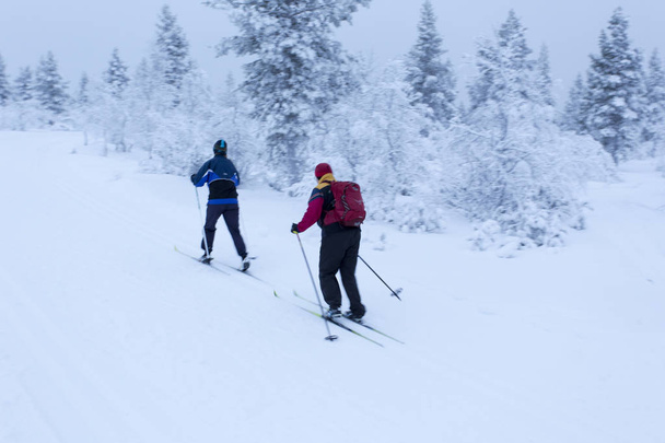 Saariselka, Finaland - December 31, 2017: sport activities in Lapland during polar night - Fotoğraf, Görsel
