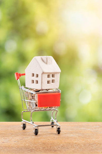 Model domu a mince v nákupní košík koncept pro hypotéky úspora na bílém pozadí - Fotografie, Obrázek