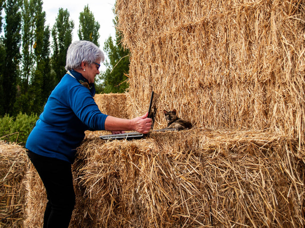 Una mujer mayor empresaria que trabaja al aire libre en una granja con una computadora portátil sobre una paca de heno
 - Foto, Imagen