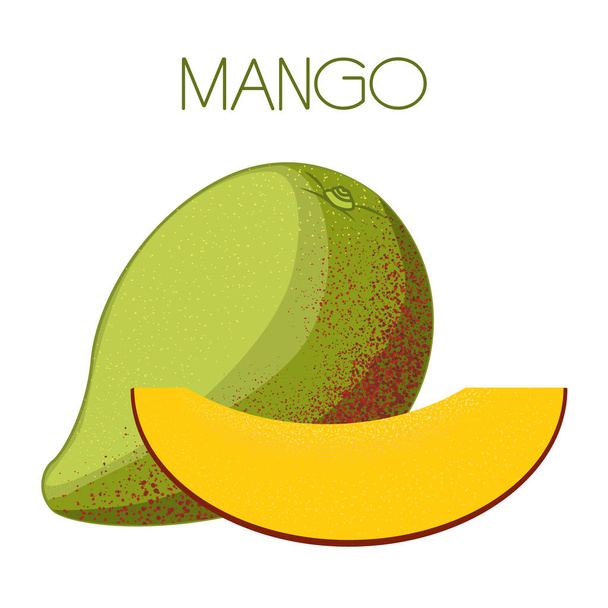 Mango. Vector image on isolated background - Vetor, Imagem