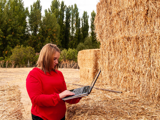 Підприємець молода жінка, що працює на відкритому повітрі на фермі з ноутбуком над тюком
 - Фото, зображення
