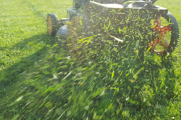 Mowing grass flies from the lawn mower - Valokuva, kuva