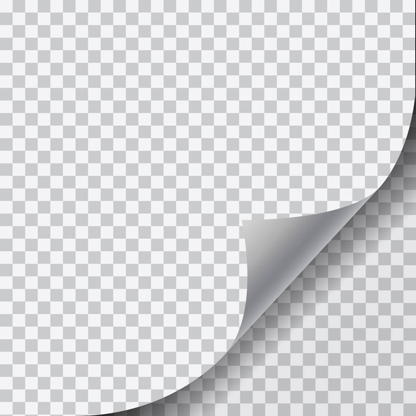 Ρεαλιστική απεικόνιση της μια κενή λευκή σελίδα με κατσαρά γωνιά και σκιάς σε διαφανές φόντο - διάνυσμα - Διάνυσμα, εικόνα