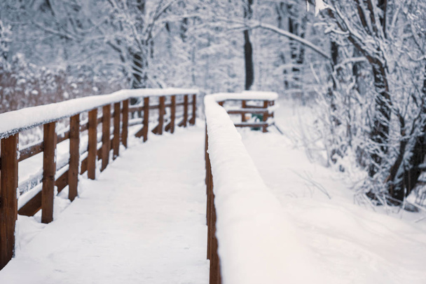 Puente de madera en un día nevado de invierno, vista de perspectiva, sin gente
 - Foto, imagen