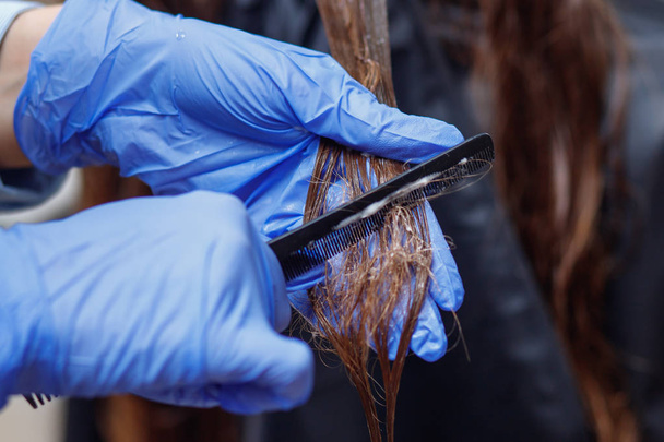 Maestro peluquero mujer peinando dañado enredado cabello de cliente
 - Foto, imagen