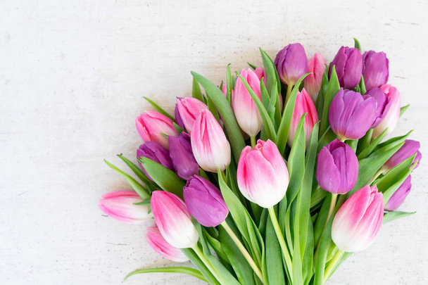 Rózsaszín friss tulipán - Fotó, kép