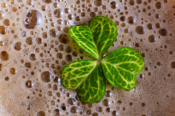темное ирландское пиво
 - Фото, изображение