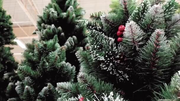 Umělý vánoční stromeček v obchodě - Záběry, video