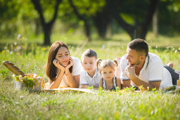 Gelukkige familie op picknick in het park - Foto, afbeelding