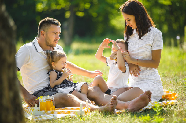 Happy family on picnic at park - Foto, immagini