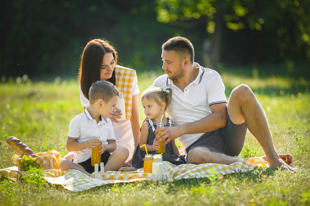 Szczęśliwa rodzina na pikniku - Zdjęcie, obraz