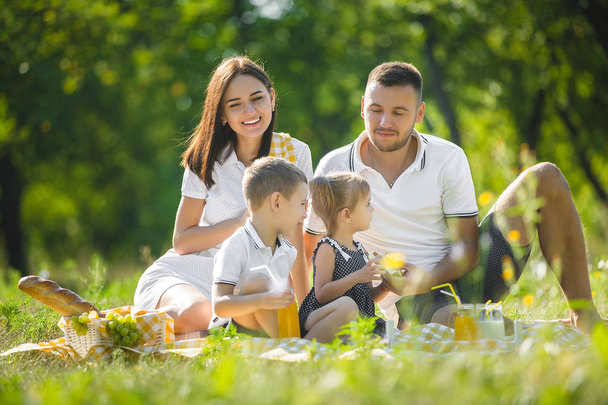 Happy family on picnic - Φωτογραφία, εικόνα