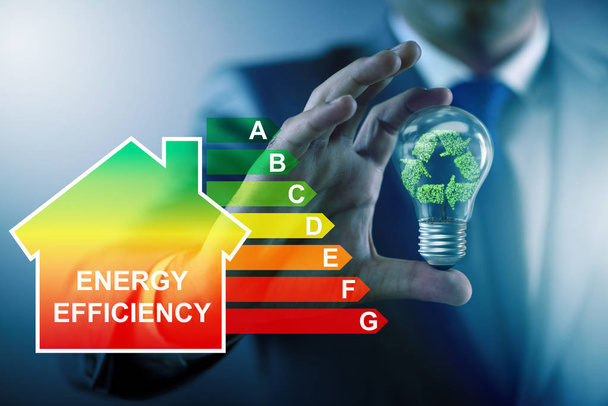 Zakenman in het concept energie-efficiëntie - Foto, afbeelding