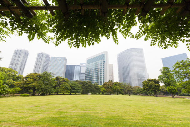 Tokyo-Wolkenkratzer aus einem Park - Foto, Bild