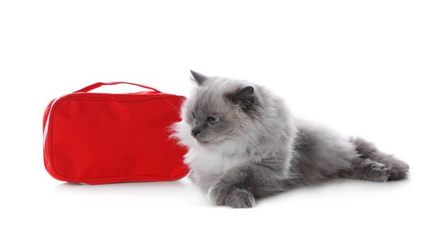 First aid kit and cute cat on white background. Animal care - Zdjęcie, obraz