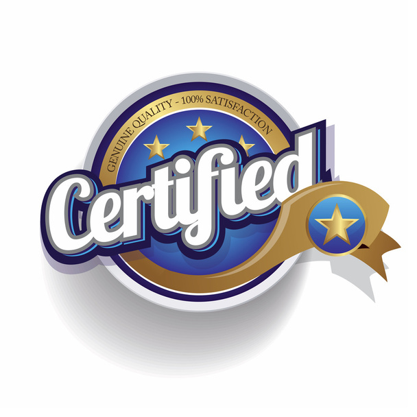 Certified icon button vector - Vector, Image