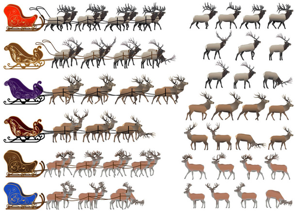 Collection of different species of red deer and deer sleds - Vector, Image