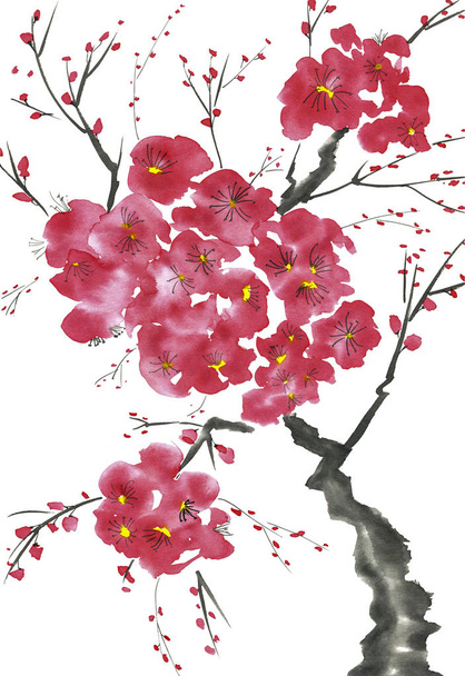 A branch of a blossoming tree. Pink and red stylized flowers of plum mei, wild apricots and sakura . Watercolor and ink illustration in style sumi-e, u-sin. Oriental traditional painting.   - Foto, immagini