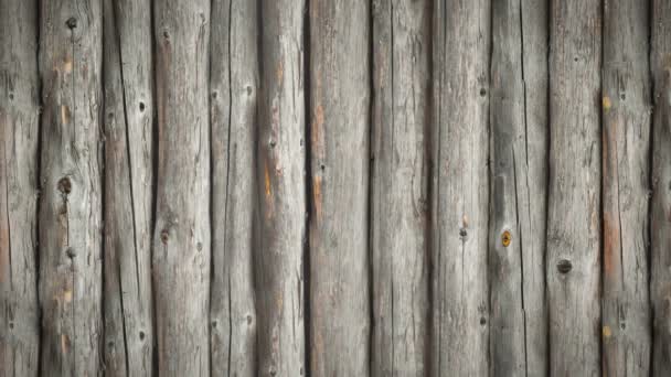 αδιάλειπτη βρόχο, κινείται το υπόβαθρο, παλιά ξύλινα τοίχων - Πλάνα, βίντεο