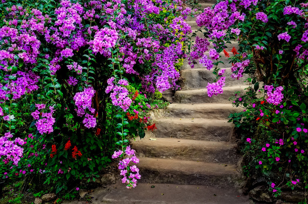 Hermosas flores de colores y escaleras de jardín
 - Foto, imagen