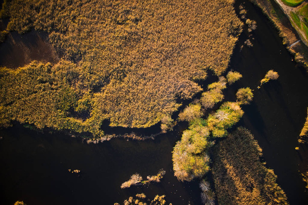 Vista aérea da área pantanosa do lago de Porta Versilia Itália, na estação de outono
. - Foto, Imagem