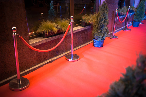Красная ковровая дорожка
 - Фото, изображение