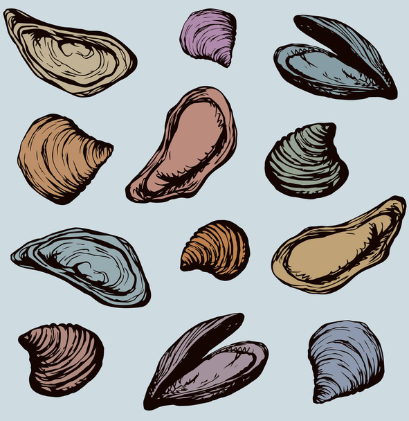 Big fresh perl Ostreidae mollusc on grey backdrop. Outline black ink hand drawn french diet delicacy dining icon sign design sketchy in retro art cartoon doodle engraved style pen on white paper - Vector, Image