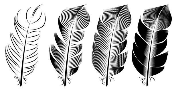 Colección de ilustración de plumas, dibujo de tinta, grabado, arte de línea, blanco y negro
 - Vector, imagen