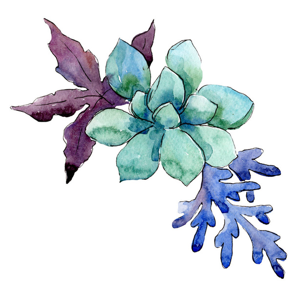 Flor verde. Floral flor botânica. Composição de buquê isolado. Conjunto de ilustração de fundo aquarela
. - Foto, Imagem
